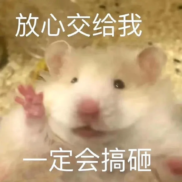 放心交给我一定会搞砸（放心交给我一定会搞砸）