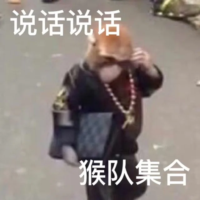 说话说话猴队集合（说话说话猴队集合）
