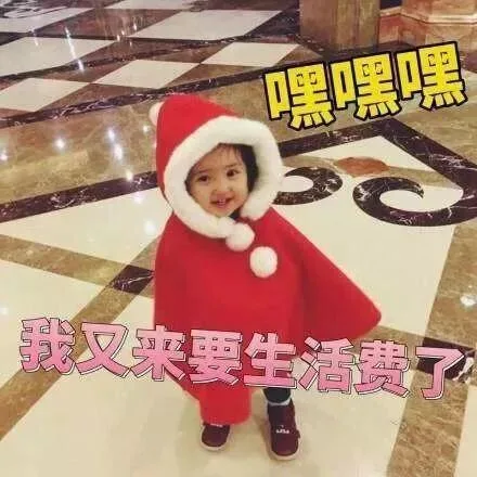 嘿嘿嘿 我又来要生活费了