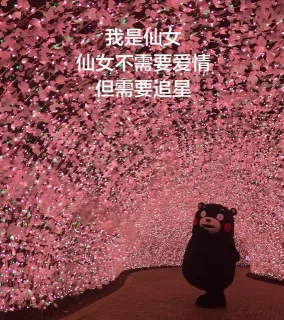 我是仙仙女不需要爱情但需要追星