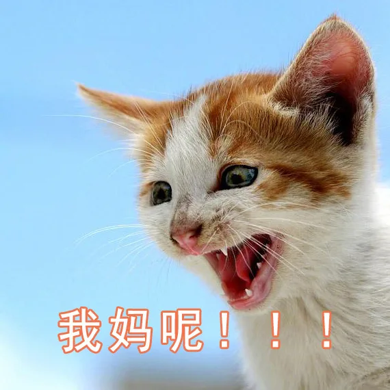 我妈呢！！！