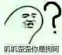 撕逼怼人必备表情 _斗图_怼人表情表情包