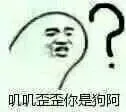 撕逼怼人必备表情 _斗图_怼人表情表情包