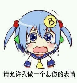 请允许我做一个悲伤的表情（请允许我做一个悲伤的表情）