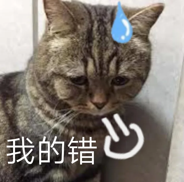 我的错