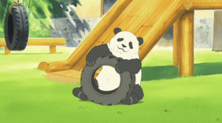 熊猫玩轮胎
