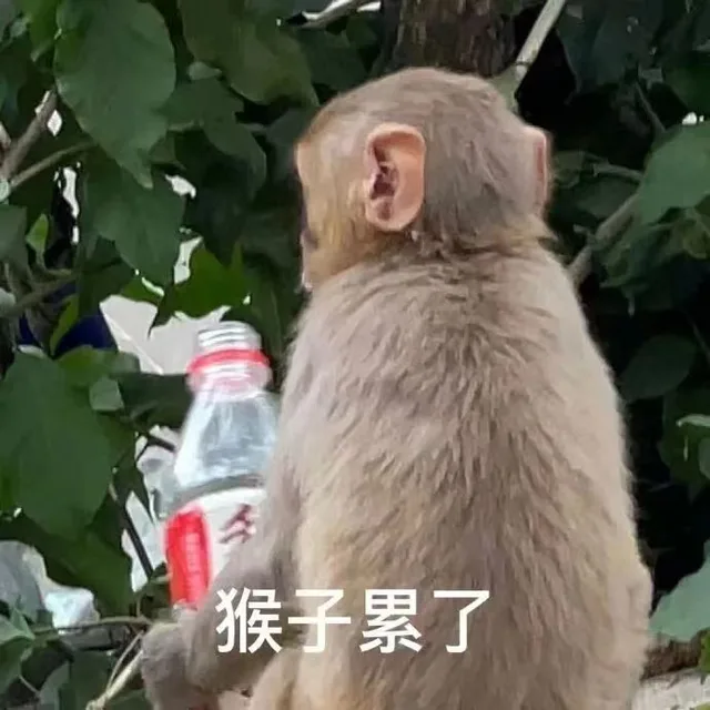 猴子累了（猴子累了）
