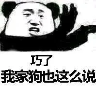 巧了真是巧了（熊猫人装逼系列）_巧了_熊猫人_装逼表情包
