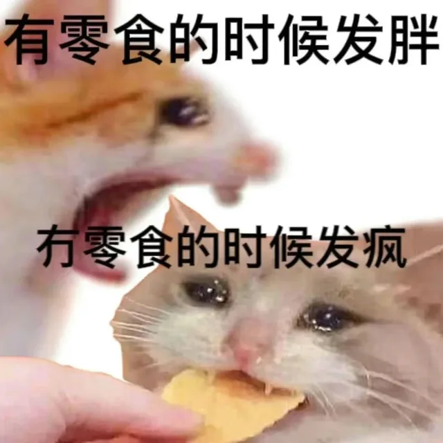 有零食的时候发胖有零食的时候发疯（有零食的时候发胖有零食的时候发疯）