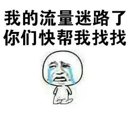 我的流量迷路了，你们快帮我找找（我的流量迷路了，你们快帮我找找）