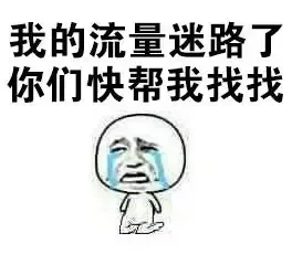 我的流量迷路了，你们快帮我找找