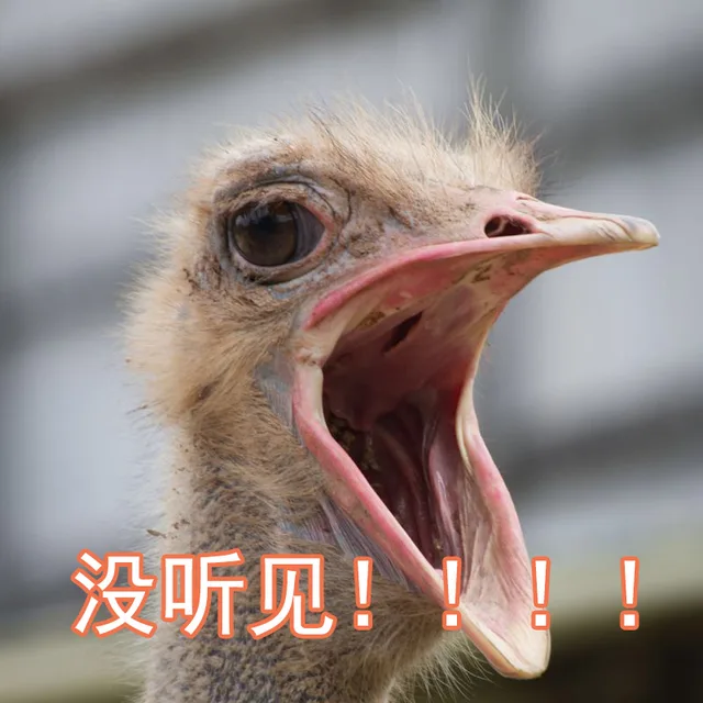 没听见！！！