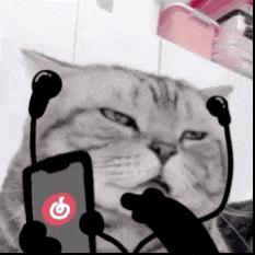 猫猫听音乐动图表情包（猫猫听音乐动图表情包）