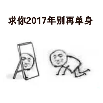 求你2017年别再单身（求你2017年别再单身）