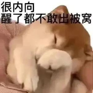 很内向醒了都不敢出被窝（很内向醒了都不敢出被窝）