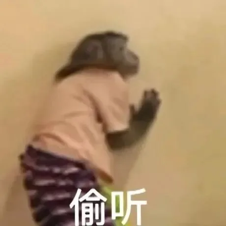 偷听（偷听）