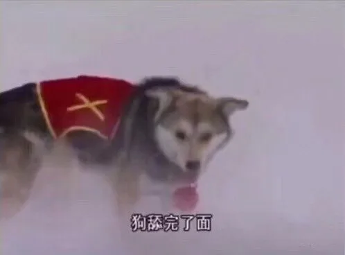 狗舔完了面（狗舔完了面）