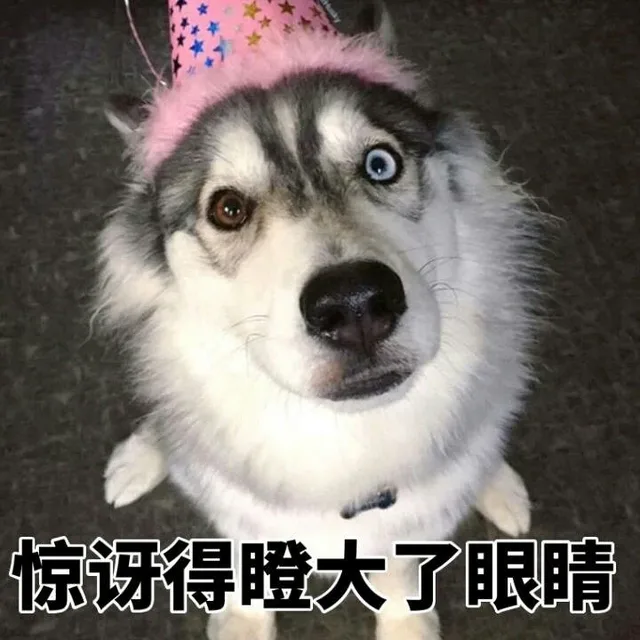 惊讶得瞪大了眼睛
