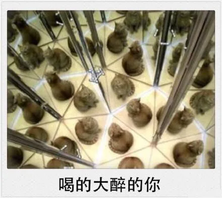 喝的大醉的你（喝的大醉的你）