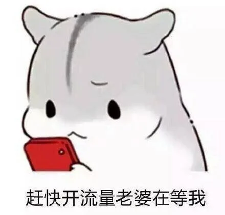 赶快开流量老婆在等我