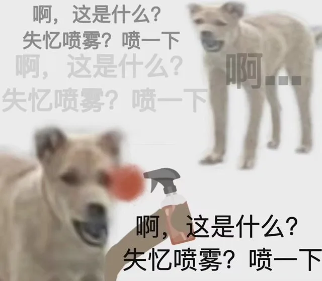 啊，这是什么？失忆喷雾？喷一下啊，这是什么？啊失忆喷雾？喷一下啊，这是什么？失忆喷雾？喷一下（啊，这是什么？失忆喷雾？喷一下啊，这是什么？啊失忆喷雾？喷一下啊，这是什么？失忆喷雾？喷一下）