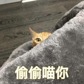 偷偷喵你