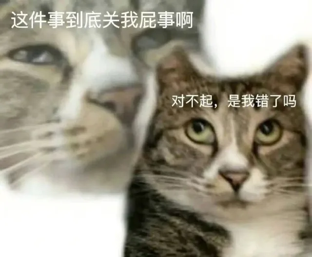 这件事到底关我屁事啊对不起，是我错了吗（这件事到底关我屁事啊对不起，是我错了吗）