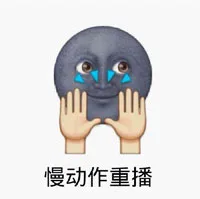 慢动作重播（慢动作重播）