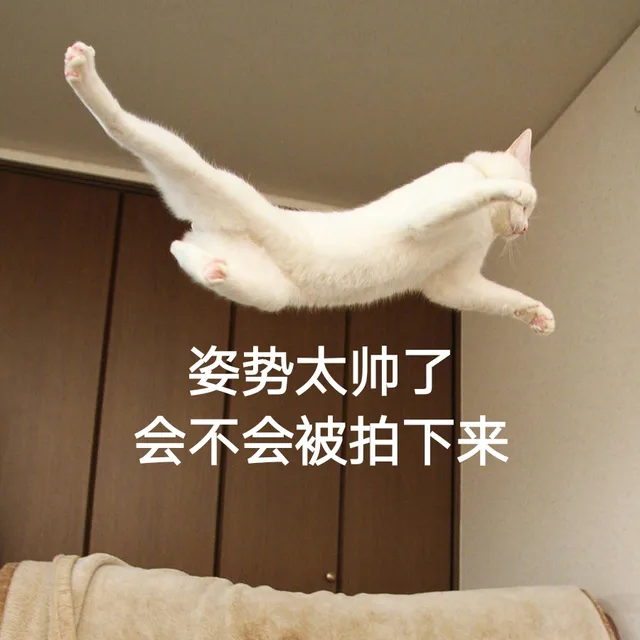 姿势太帅了会不会被拍下来（姿势太帅了会不会被拍下来）