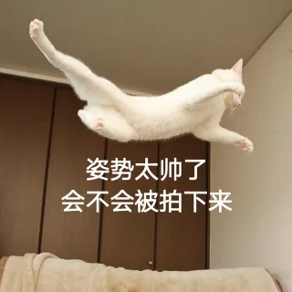 姿势太帅了会不会被拍下来