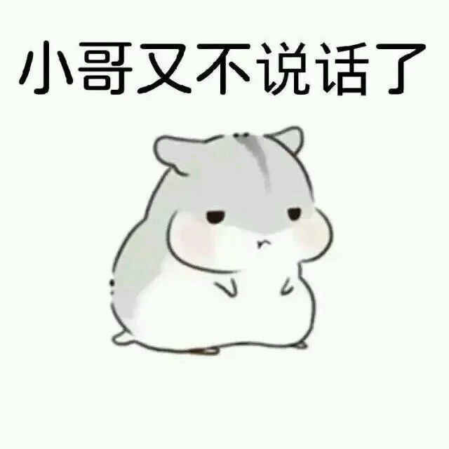 小哥又不说话了（小哥又不说话了）