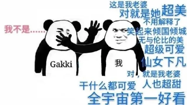 你们尽管叫老婆，追到了算我输_Gakki _新恒结衣_装逼_明星表情表情包