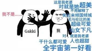 你们尽管叫老婆，追到了算我输_Gakki _新恒结衣_装逼_明星表情表情包