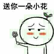 送你朵小花_小花_求爱_单身狗表情包
