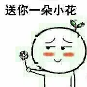 送你朵小花_小花_求爱_单身狗表情包
