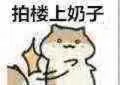 拍楼上奶子（污）_奶子表情包