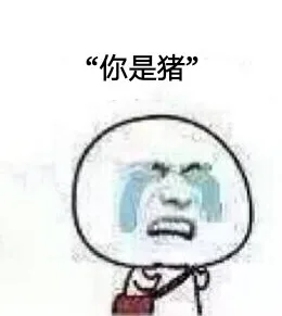 你是猪