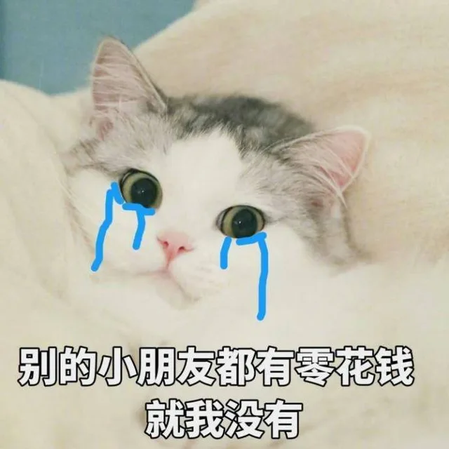 别的小朋友都有零花钱就我没有