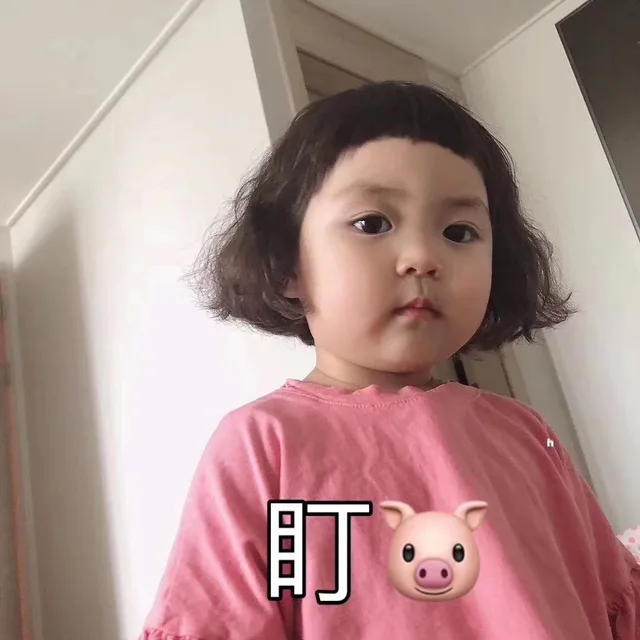 盯猪（盯猪）