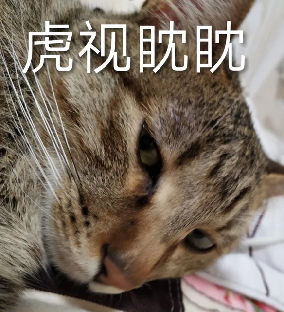 虎视眈眈（虎视眈眈）