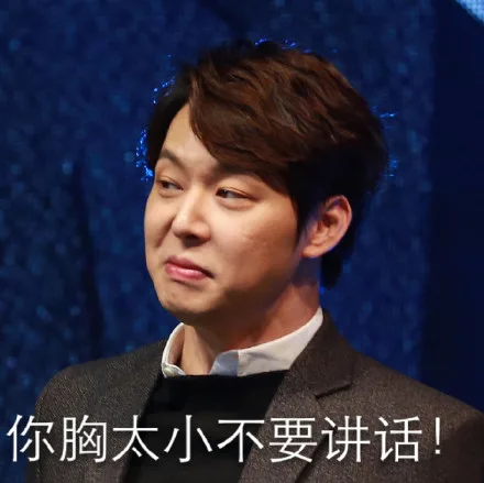 你胸太小不要讲话！