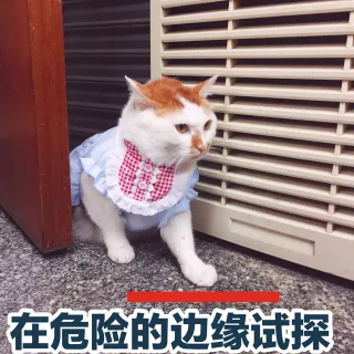 爱一在危险的边缘试探等