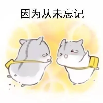 因为从未忘记（因为从未忘记）