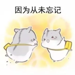 因为从未忘记