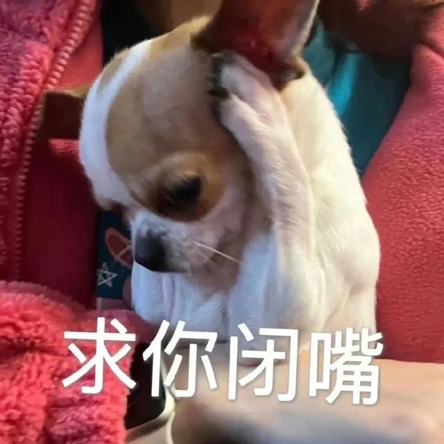 求你闭嘴（求你闭嘴）