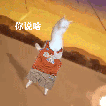 沙雕羊驼换上了不同的穿搭