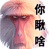 你瞅啥（你瞅啥）