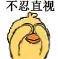 不忍直视