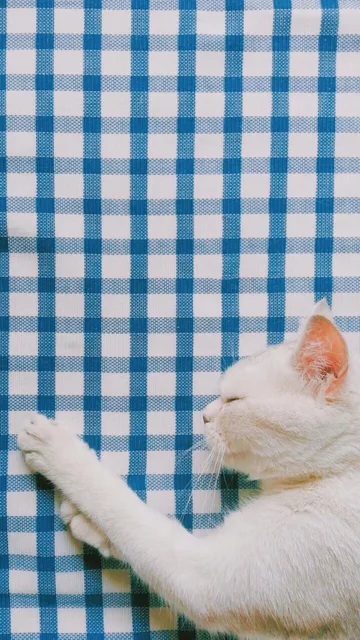 一组清新的蓝色壁纸