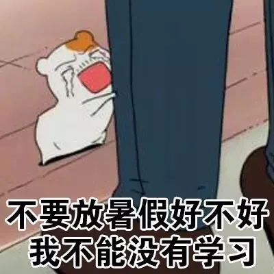 不要放暑假好不好，我不能没有学习